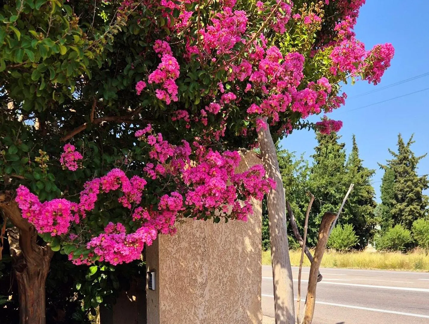Logis Hotel Le Mistral - Restaurant - Montelimar Sud